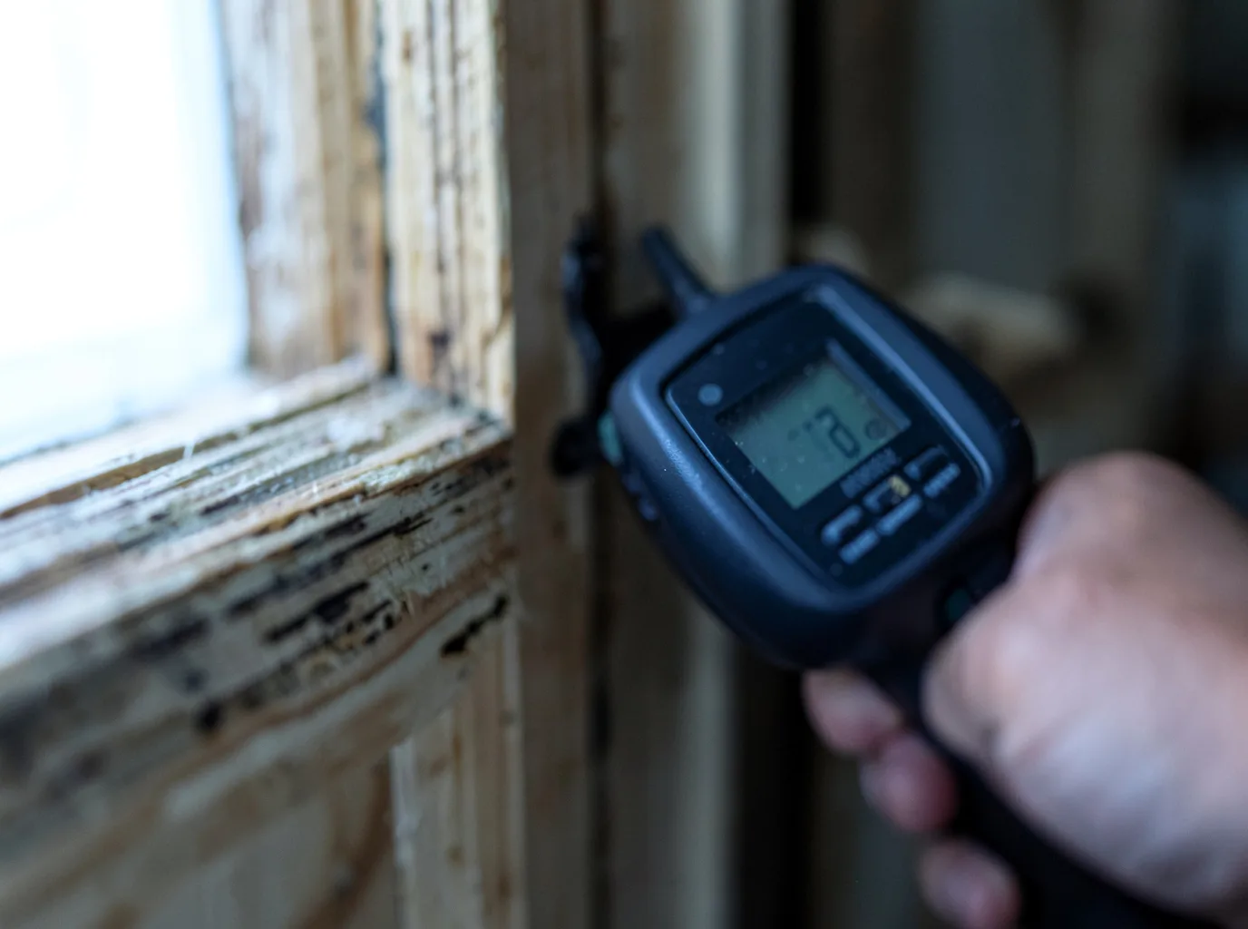 Moisture Inspection And Documentation in Kingston, NY